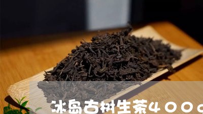 冰岛古树生茶400g/2023061261848