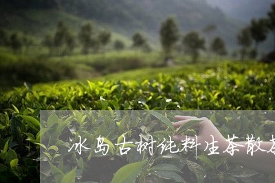 冰岛古树纯料生茶散茶/2023061252615