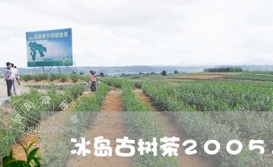 冰岛古树茶2005年/2023061161793