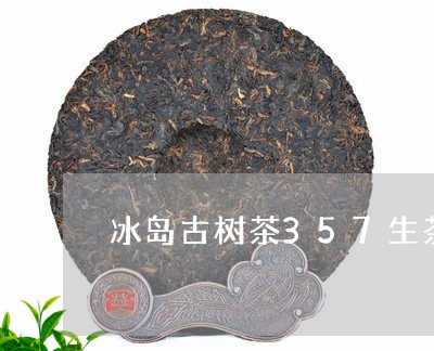 冰岛古树茶357生茶/2023092372826