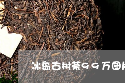 冰岛古树茶99万图片/2023092308594