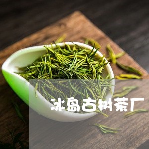 冰岛古树茶厂/2023090749693