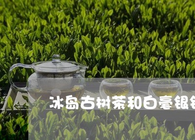 冰岛古树茶和白毫银针/2023092357472