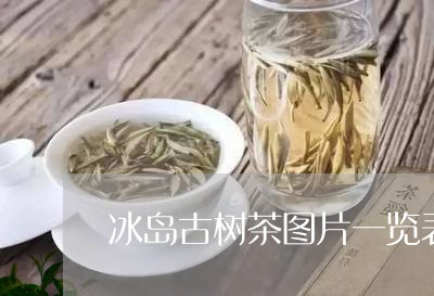 冰岛古树茶图片一览表/2023092340603