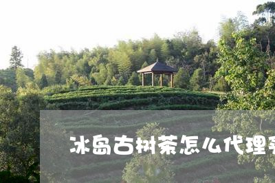 冰岛古树茶怎么代理买/2023061277171