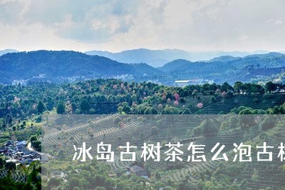 冰岛古树茶怎么泡古树红茶能放多久/2023060439494