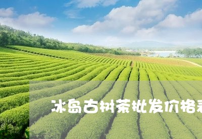 冰岛古树茶批发价格表和图片/2023052658262