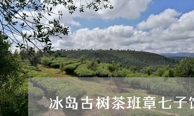 冰岛古树茶班章七子饼/2023092458371