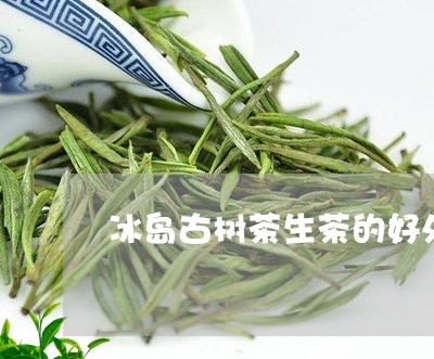 冰岛古树茶生茶的好处/2023092361515