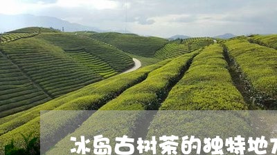 冰岛古树茶的独特地方/2023061284026