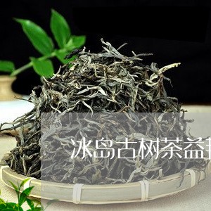 冰岛古树茶益韬出品/2023042643837