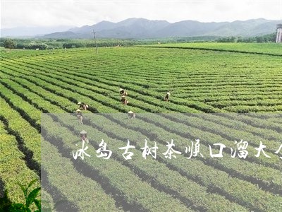 冰岛古树茶顺口溜大全/2023092327282