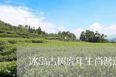 冰岛古树虎年生肖普洱茶饼/2023081541726