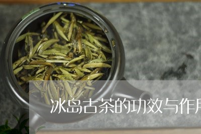 冰岛古茶的功效与作用/2023092319383