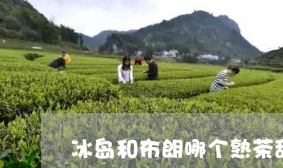 冰岛和布朗哪个熟茶甜/2023061204049