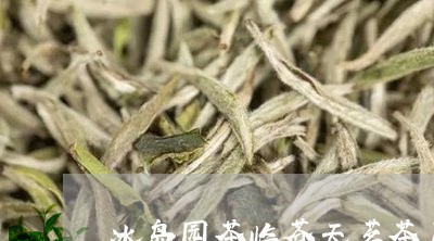 冰岛园茶临苍天茗茶厂/2023092289795