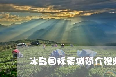 冰岛国际茶城简介视频/2023092342948