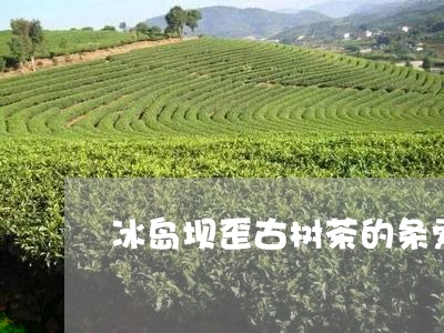 冰岛坝歪古树茶的条索/2023092332726