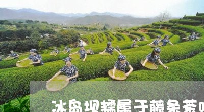 冰岛坝糯属于藤条茶吗/2023092262926