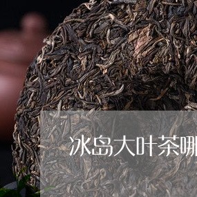 冰岛大叶茶哪种茶最好/2023092329475