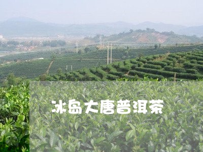 冰岛大唐普洱茶/2023081586260