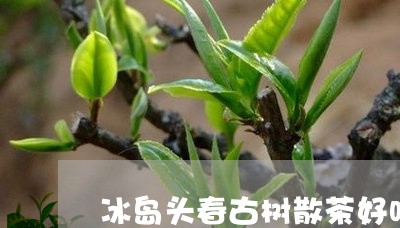 冰岛头春古树散茶好吗/2023092307341