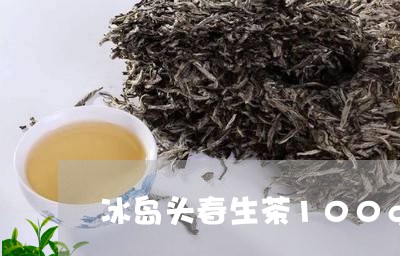 冰岛头春生茶100g茶饼多少钱/2023060323735