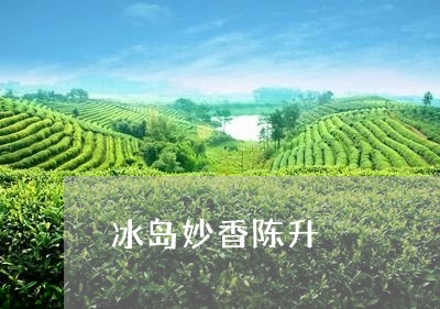 冰岛妙香陈升/2023090744947