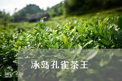 冰岛孔雀茶王/2023090736028