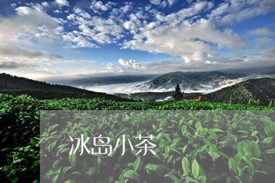 冰岛小茶/2023090113737