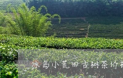 冰岛小荒田古树茶价格/2023092343714