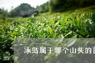 冰岛属于哪个山头的普洱茶产地/2023121309481