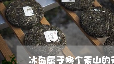 冰岛属于哪个茶山的茶/2023061128272