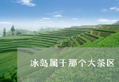 冰岛属于那个大茶区/2023042619290