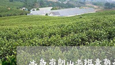 冰岛布朗山老班章熟茶口感区别/2023060184946