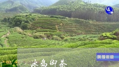 冰岛御茶/2023090114036