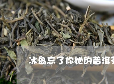 冰岛忘了你她的普洱茶/2023081691835