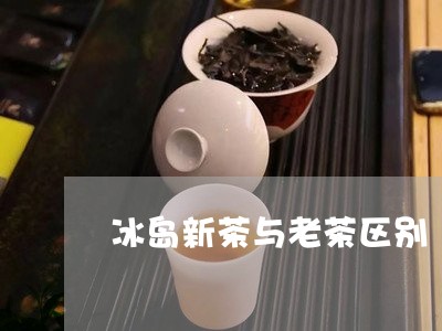 冰岛新茶与老茶区别/2023042672606