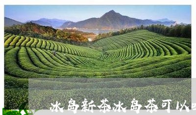 冰岛新茶冰岛茶可以吗/2023092330715