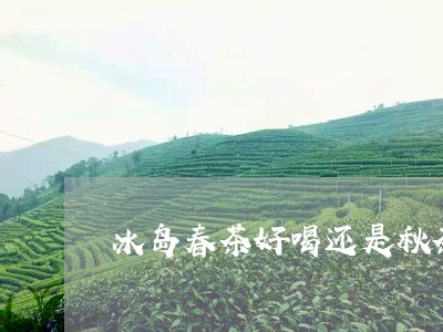 冰岛春茶好喝还是秋茶好喝/2023051254158