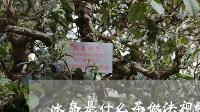 冰岛是什么茶做法视频/2023061163638