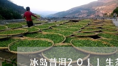 冰岛普洱2011生茶价格/2023051040613