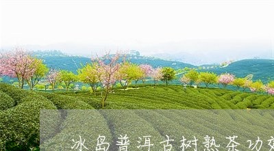 冰岛普洱古树熟茶功效/2023061458260