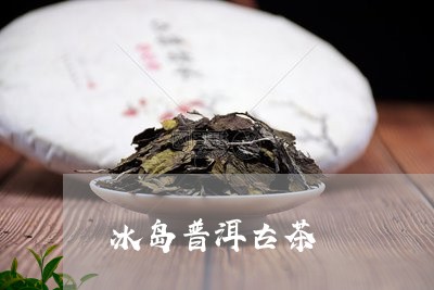 冰岛普洱古茶/2023090691593