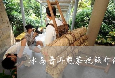 冰岛普洱熟茶视频介绍/2023061451513