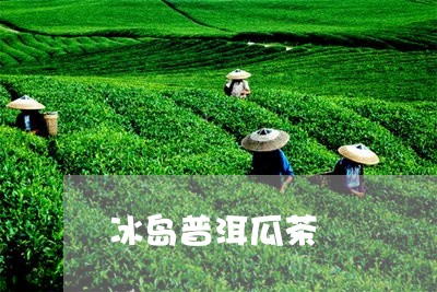 冰岛普洱瓜茶/2023090640592