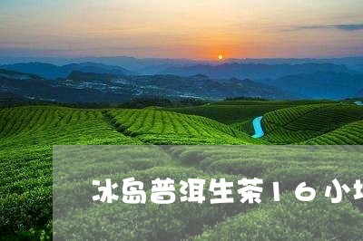 冰岛普洱生茶16小块/2023092565160