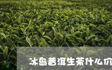 冰岛普洱生茶什么价位/2023092529513