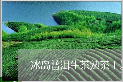 冰岛普洱生茶熟茶工艺区别/2023051027428