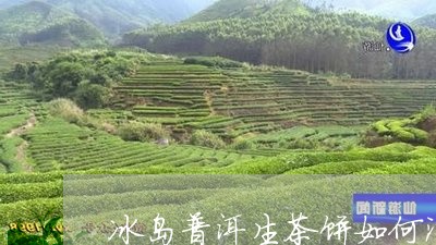 冰岛普洱生茶饼如何泡/2023092536481